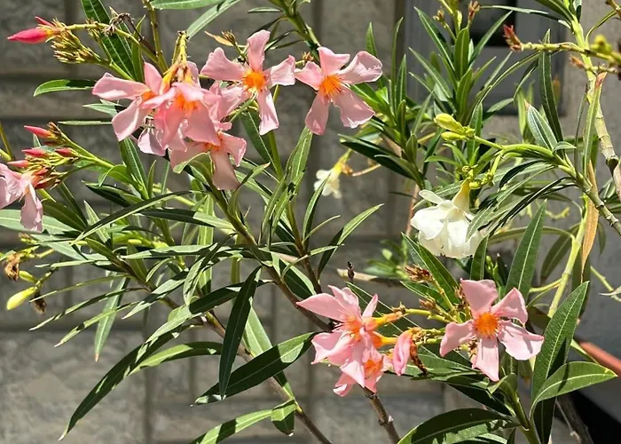 Kuca Na Obali Save *