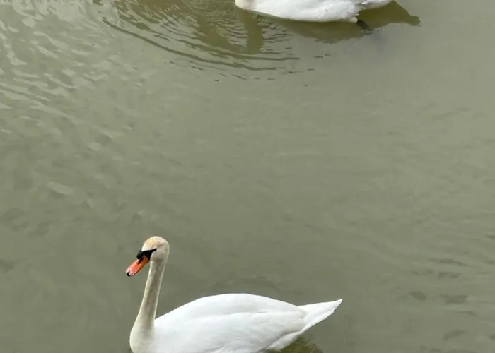 Kuca Na Obali Save 公寓 Obrenovac (Belgrade)