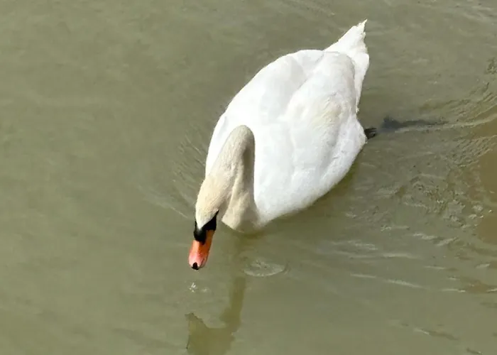 Kuca Na Obali Save *