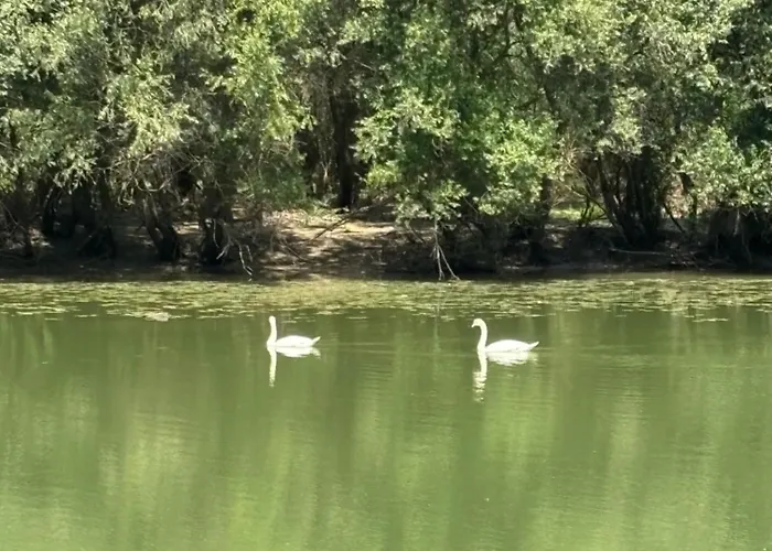 公寓 Kuca Na Obali Save