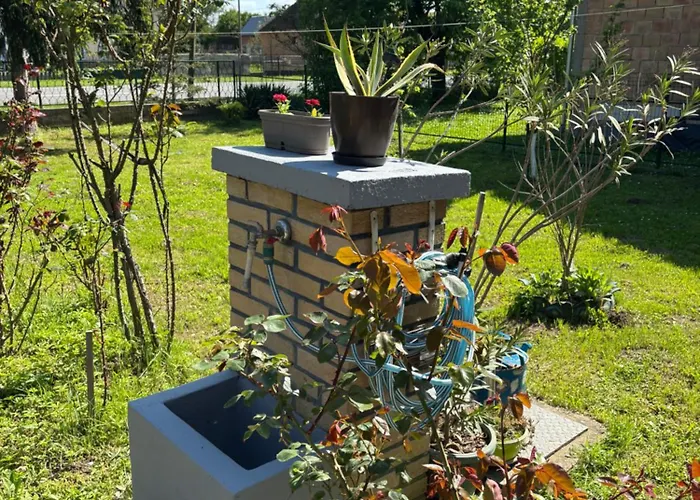 Kuca Na Obali Save 公寓 Obrenovac (Belgrade)