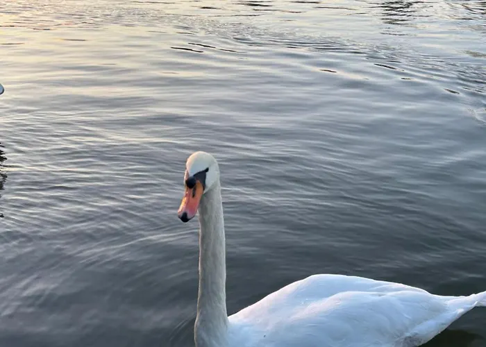 公寓 Kuca Na Obali Save Obrenovac (Belgrade)