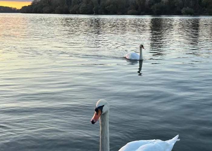 Kuca Na Obali Save 公寓 *