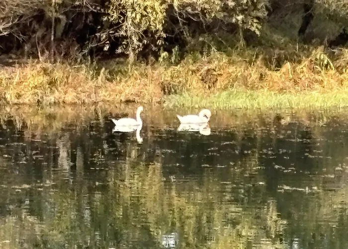 Kuca Na Obali Save *